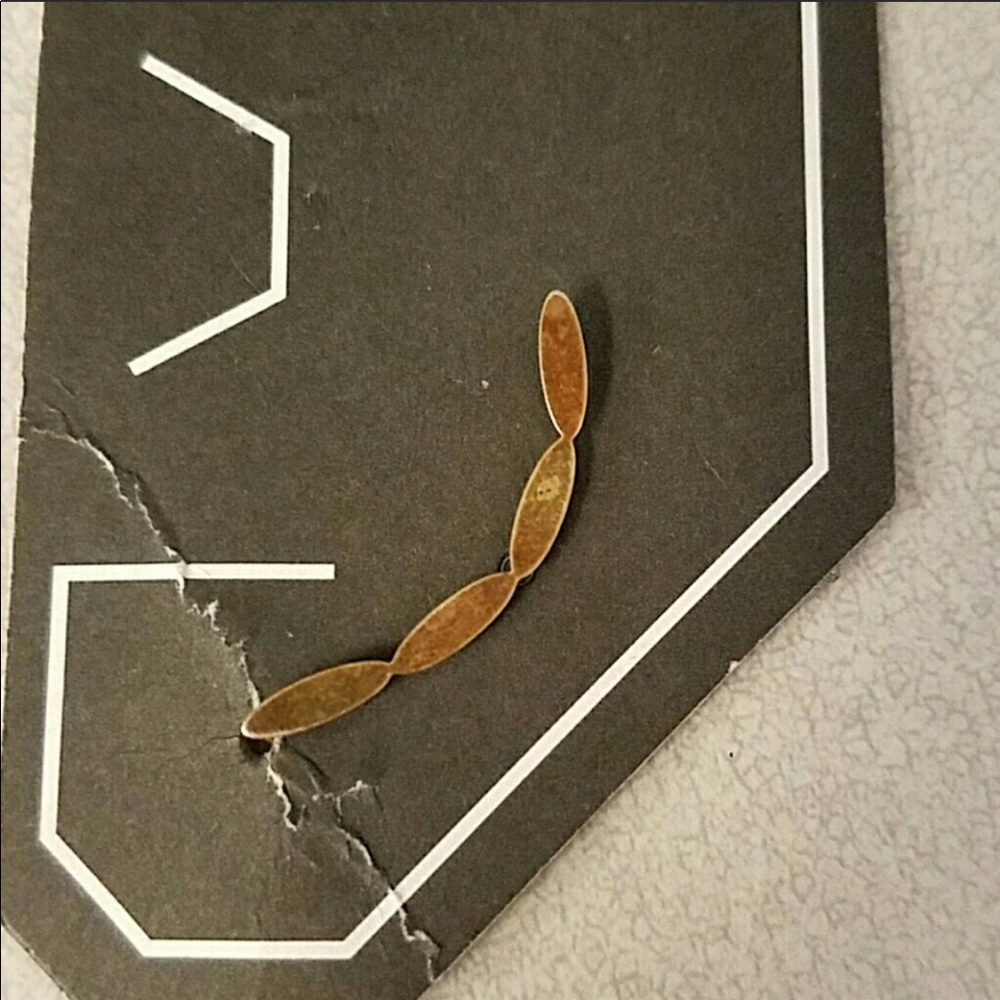 Gold Ear Climber